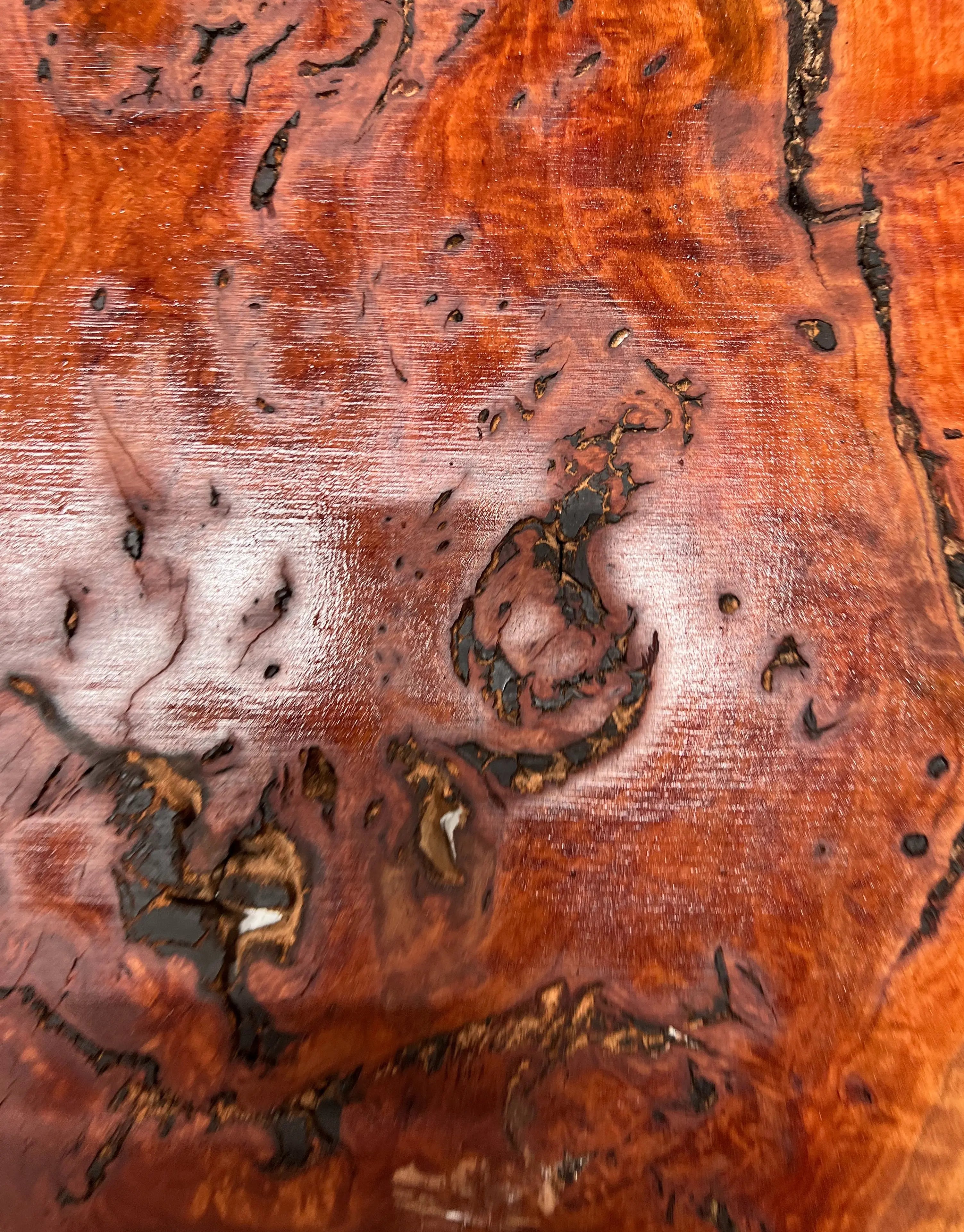 Red Gum Burl Book Matched Guitar Drop Tops | 21" x 14" x 3/8" #62 - Exotic Wood Zone - Buy online Across USA 