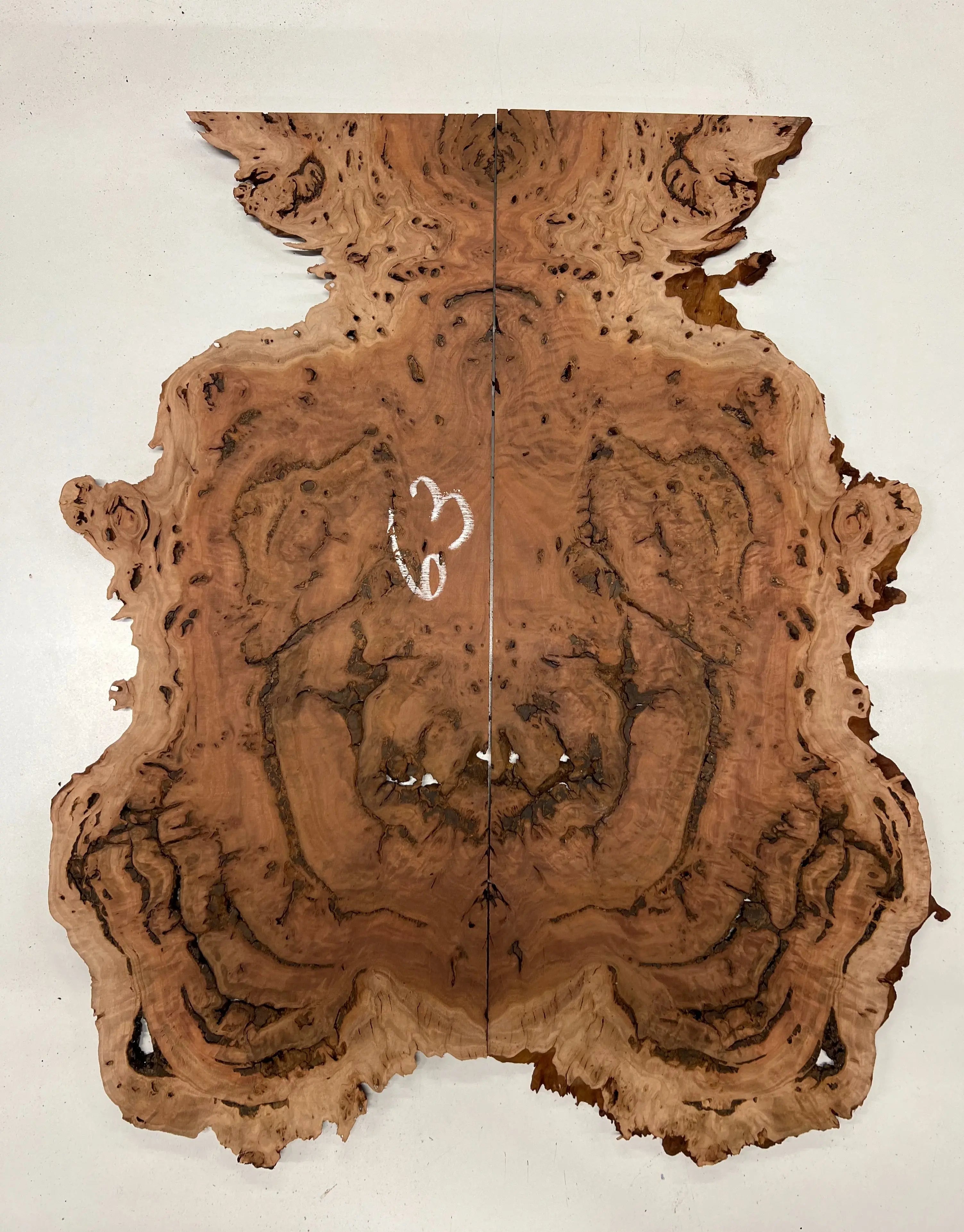 Red Gum Burl Book Matched Guitar Drop Tops | 21" x 14" x 3/8" #63 - Exotic Wood Zone - Buy online Across USA 