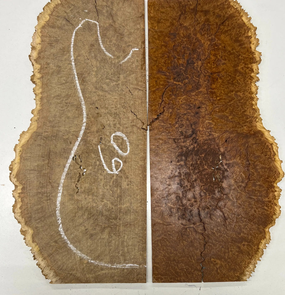 Brown Mallee Burl Guitar Drop Top Set 21" x 14" x 1/4" #60 - Exotic Wood Zone - Buy online Across USA 