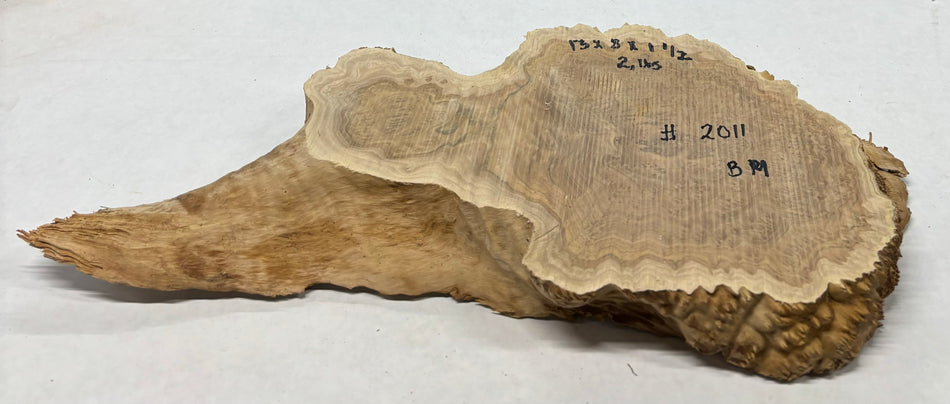 Brown Mallee Burl Cookies 13" x 8" x 1-1/2"  2 Lbs | #2011