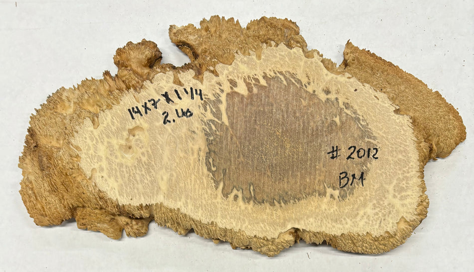 Brown Mallee Burl Cookies 14" x 7" x 1-1/4"  2 Lbs | #2012