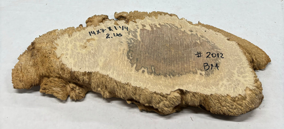 Brown Mallee Burl Cookies 14" x 7" x 1-1/4"  2 Lbs | #2012