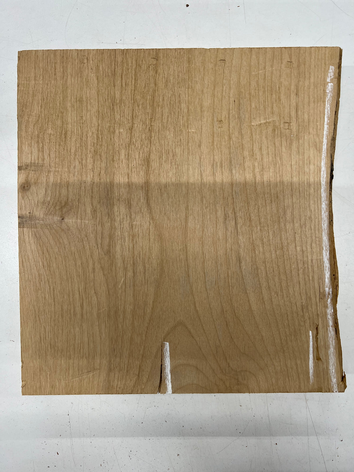 Red Alder Lumber Board Wood Blank 13"x 12"x 2" #251 - Exotic Wood Zone - Buy online Across USA 