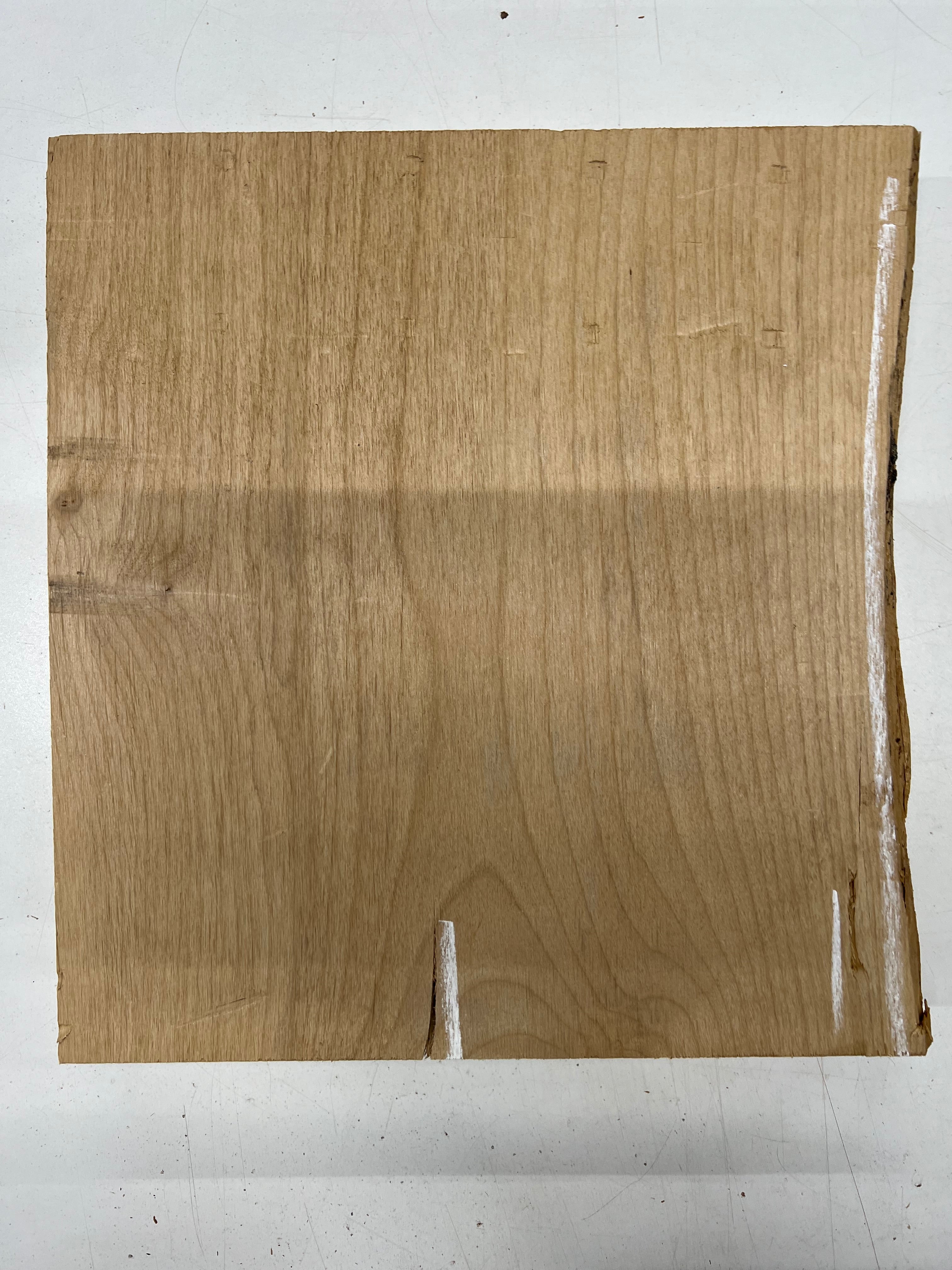 Red Alder Lumber Board Wood Blank 13"x 12"x 2" #251 - Exotic Wood Zone - Buy online Across USA 