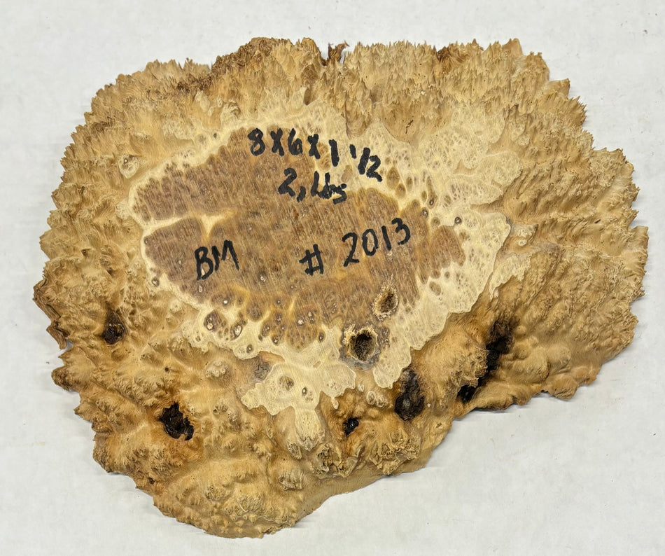 Brown Mallee Burl Cookies 8" x 6" x 1-1/2"  2 Lbs | #2013