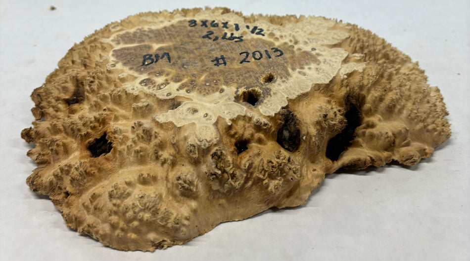 Brown Mallee Burl Cookies 8" x 6" x 1-1/2"  2 Lbs | #2013