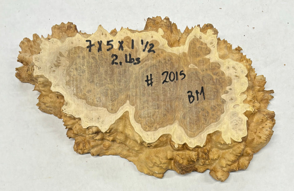 Brown Mallee Burl Cookies 7" x 5" x 1-1/2"  2 Lbs | #2015