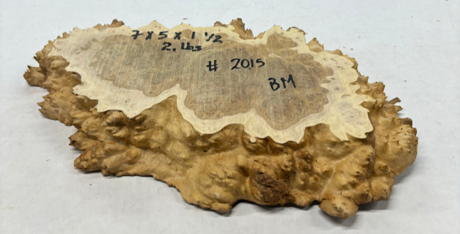 Brown Mallee Burl Cookies 7" x 5" x 1-1/2"  2 Lbs | #2015