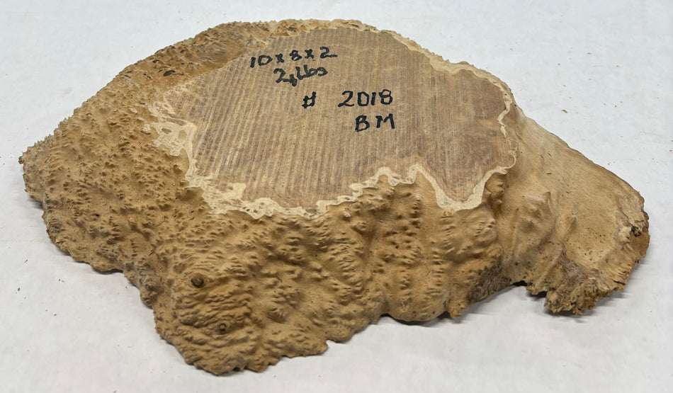Brown Mallee Burl Cookies 10" x 8" x 2"  2 Lbs | #2018