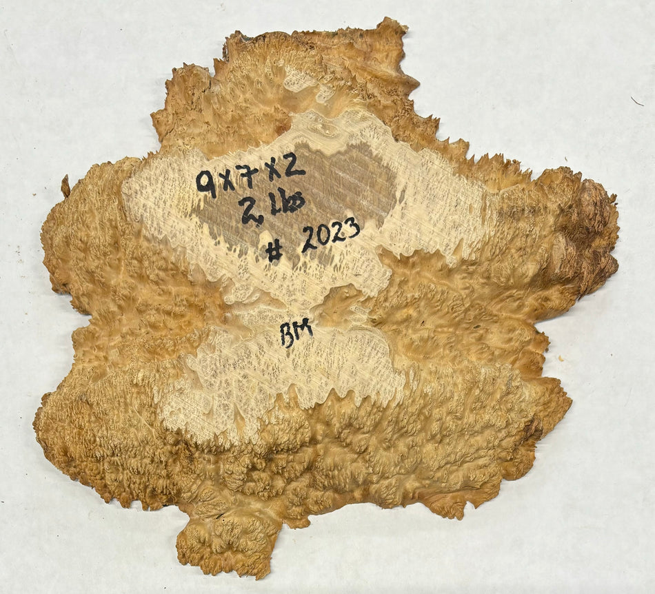 Brown Mallee Burl Cookies 9" x 7" x 2"  2 Lbs | #2023