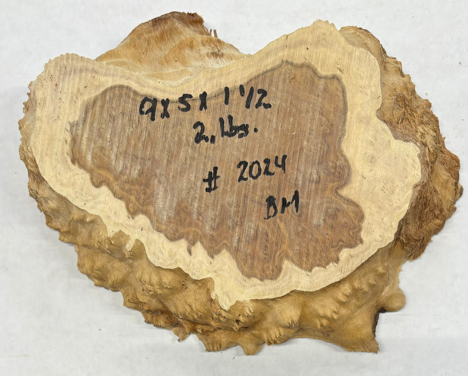Brown Mallee Burl Cookies 9" x 5" x 1-1/2"  2 Lbs | #2024