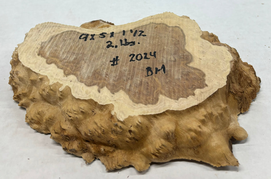 Brown Mallee Burl Cookies 9" x 5" x 1-1/2"  2 Lbs | #2024