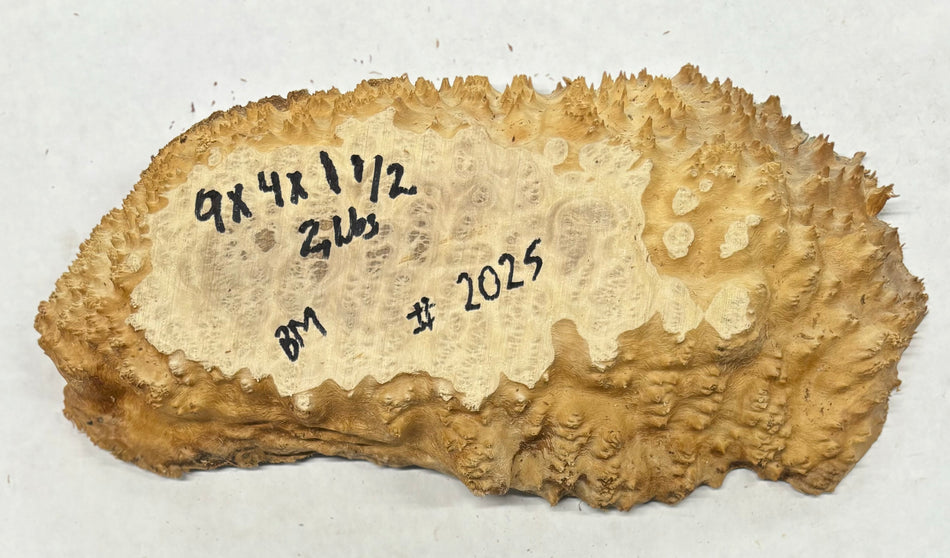 Brown Mallee Burl Cookies 9" x 4" x 1-1/2"  2 Lbs | #2025