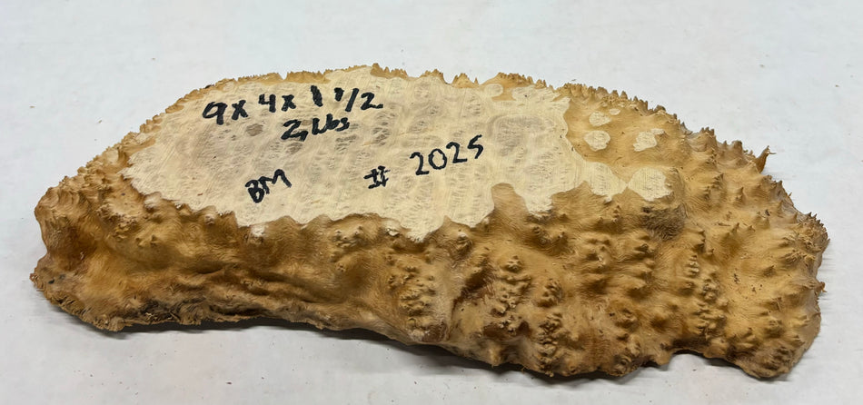 Brown Mallee Burl Cookies 9" x 4" x 1-1/2"  2 Lbs | #2025