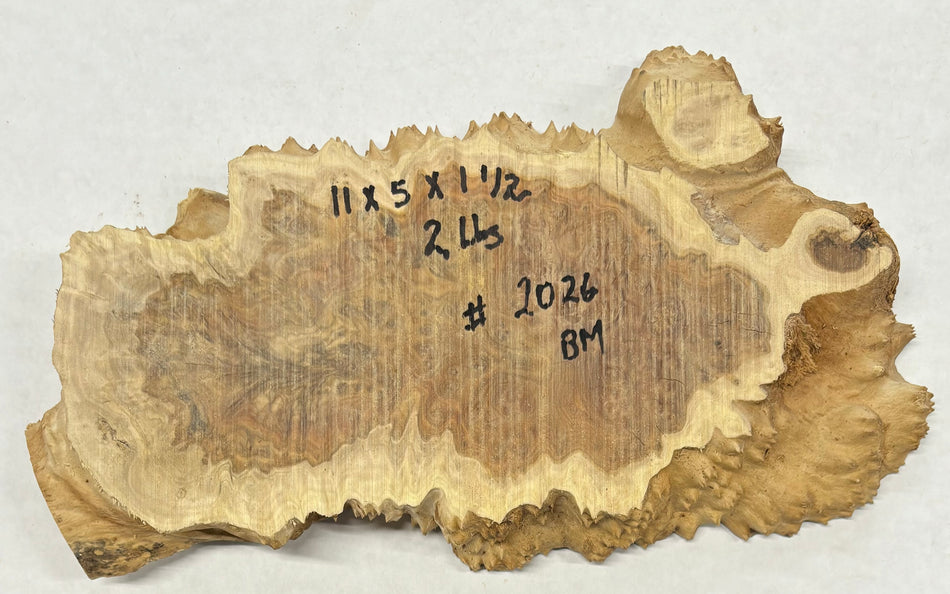 Brown Mallee Burl Cookies 14" x 8" x 1-1/2"  3 Lbs | #2026