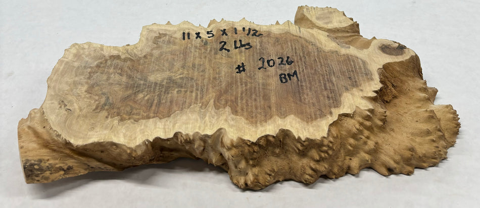 Brown Mallee Burl Cookies 14" x 8" x 1-1/2"  3 Lbs | #2026