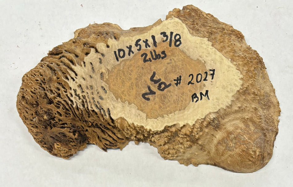 Brown Mallee Burl Cookies 10" x 5" x 1-3/8"  2 Lbs | #2027