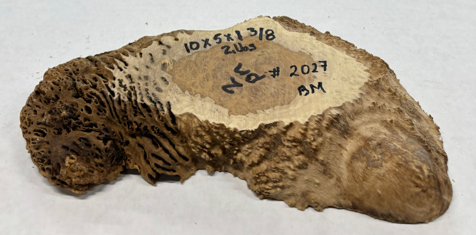 Brown Mallee Burl Cookies 10" x 5" x 1-3/8"  2 Lbs | #2027