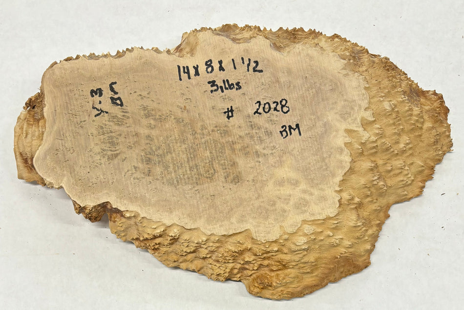 Brown Mallee Burl Cookies 14" x 8" x 1-1/2"  2 Lbs | #2028