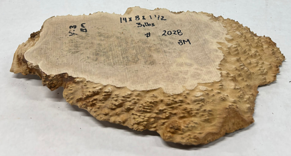 Brown Mallee Burl Cookies 14" x 8" x 1-1/2"  2 Lbs | #2028