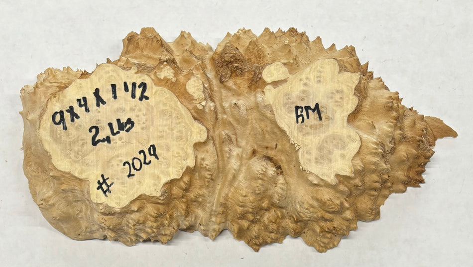 Brown Mallee Burl Cookies 9" x 4" x 1-1/2"  2 Lbs | #2029