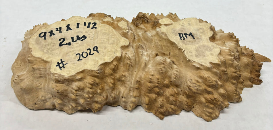 Brown Mallee Burl Cookies 9" x 4" x 1-1/2"  2 Lbs | #2029