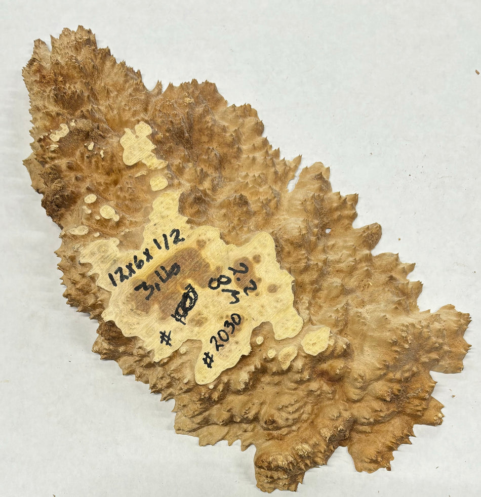 Brown Mallee Burl Cookies 12" x 6" x 1/2"  3 Lbs | #2030