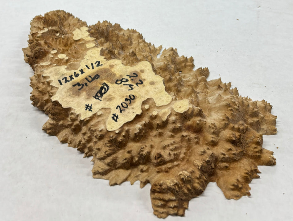 Brown Mallee Burl Cookies 12" x 6" x 1/2"  3 Lbs | #2030