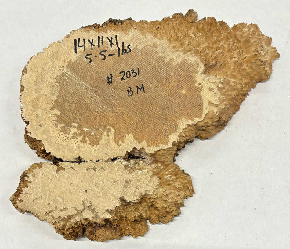 Brown Mallee Burl Cookies 14" x 11" x 1"  5.5 Lbs | #2031
