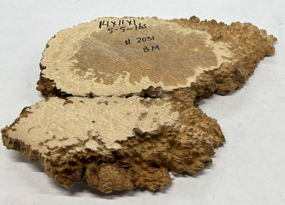 Brown Mallee Burl Cookies 14" x 11" x 1"  5.5 Lbs | #2031