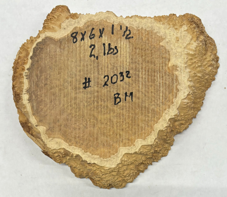 Brown Mallee Burl Cookies 8" x 6" x 1-1/2"  2 Lbs | #2032