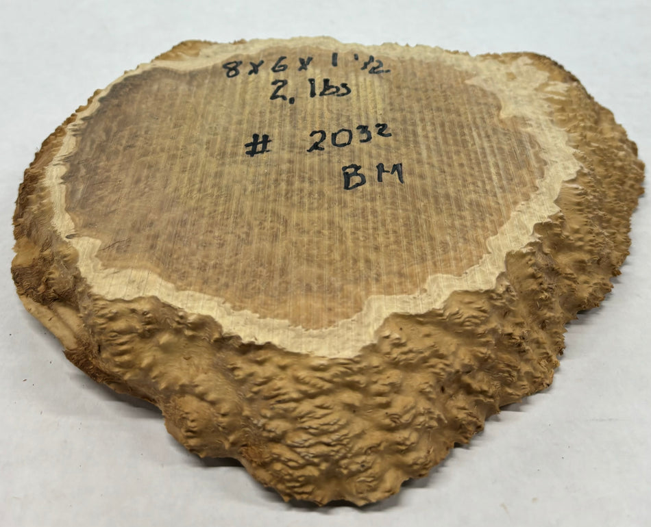 Brown Mallee Burl Cookies 8" x 6" x 1-1/2"  2 Lbs | #2032