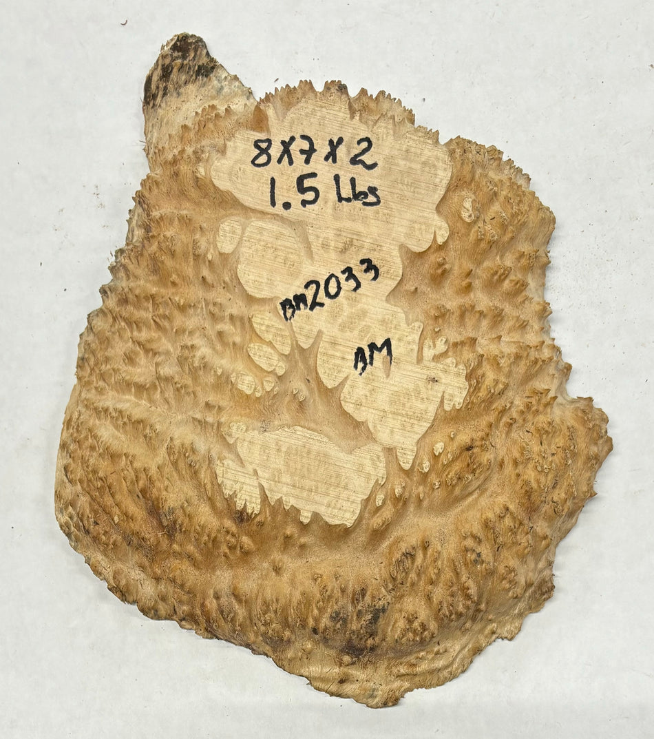 Brown Mallee Burl Cookies 8" x 7" x 2"  1.5 Lbs | #2033