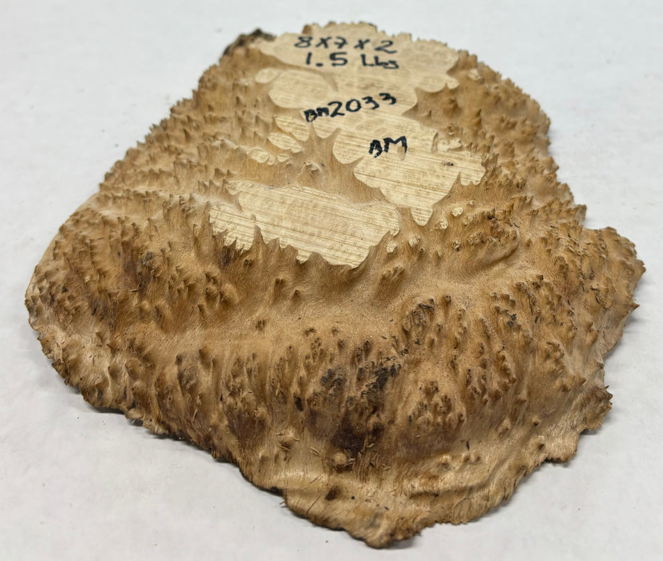Brown Mallee Burl Cookies 8" x 7" x 2"  1.5 Lbs | #2033