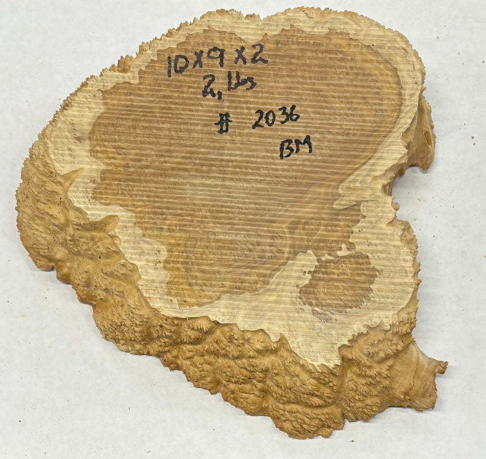 Brown Mallee Burl Cookies 10" x 9" x 2"  2 Lbs | #2036