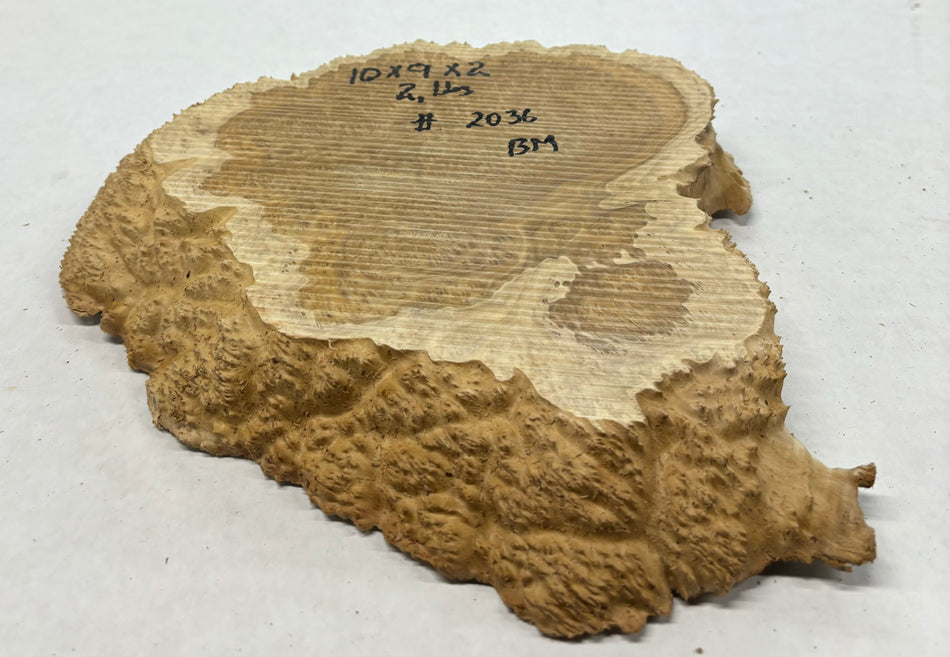 Brown Mallee Burl Cookies 10" x 9" x 2"  2 Lbs | #2036