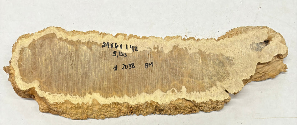 Brown Mallee Burl Cookies 24" x 6" x 1-1/2"  5 Lbs | #2038