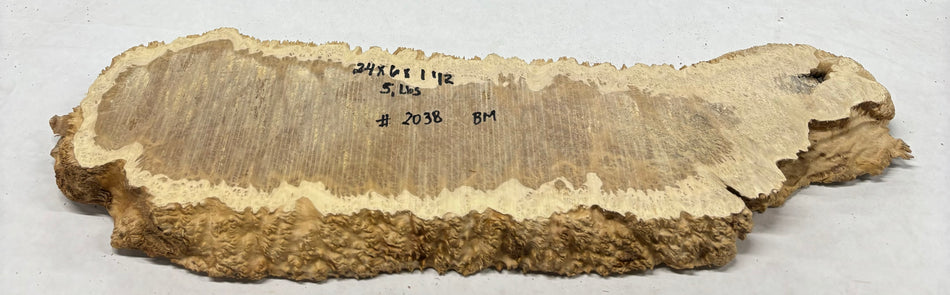 Brown Mallee Burl Cookies 24" x 6" x 1-1/2"  5 Lbs | #2038