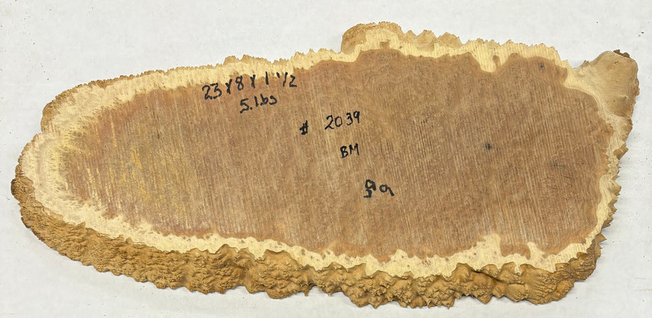 Brown Mallee Burl Cookies 23" x 8" x 1-1/2"  5 Lbs | #2039