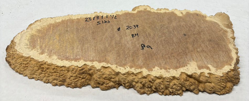 Brown Mallee Burl Cookies 23" x 8" x 1-1/2"  5 Lbs | #2039