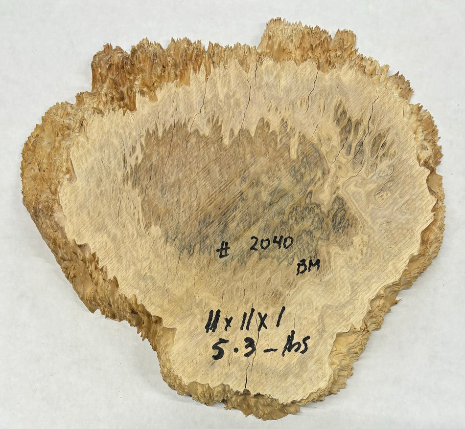Brown Mallee Burl Cookies 11" x 11" x 1"  5.3 Lbs | #2040