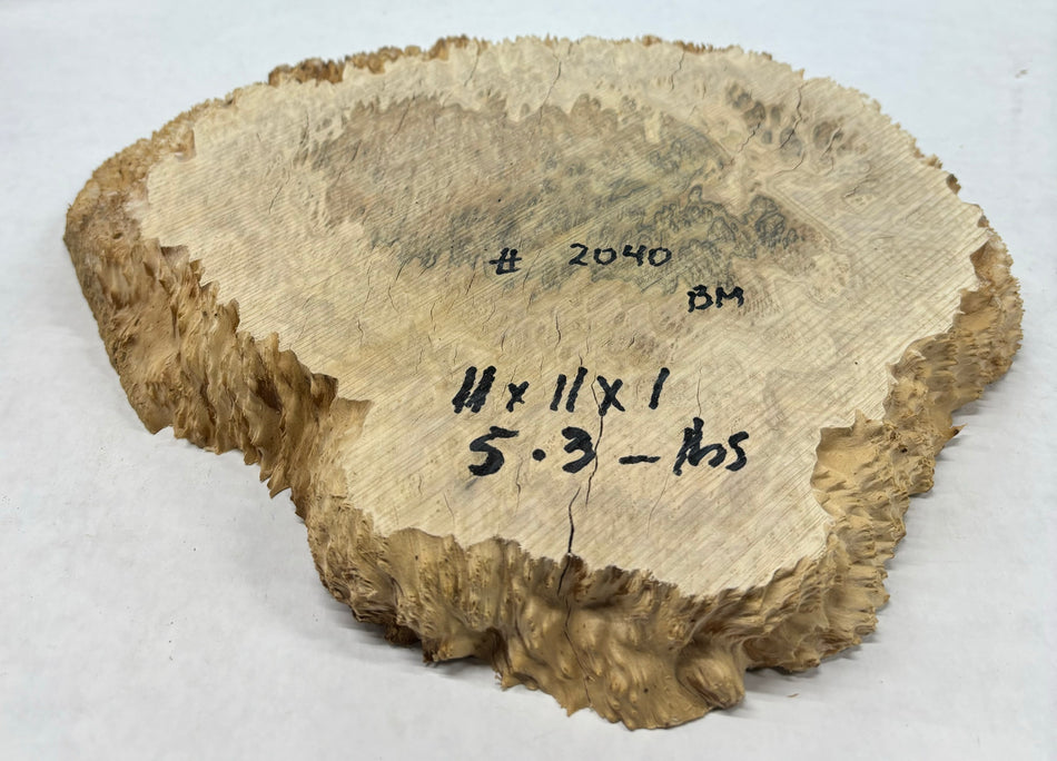Brown Mallee Burl Cookies 11" x 11" x 1"  5.3 Lbs | #2040