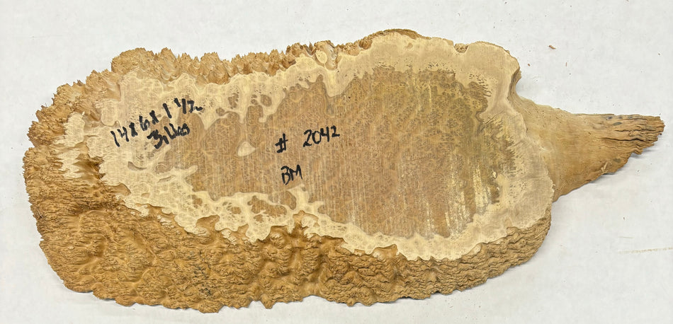 Brown Mallee Burl Cookies 14" x 6" x 1-1/2"  3 Lbs | #2042