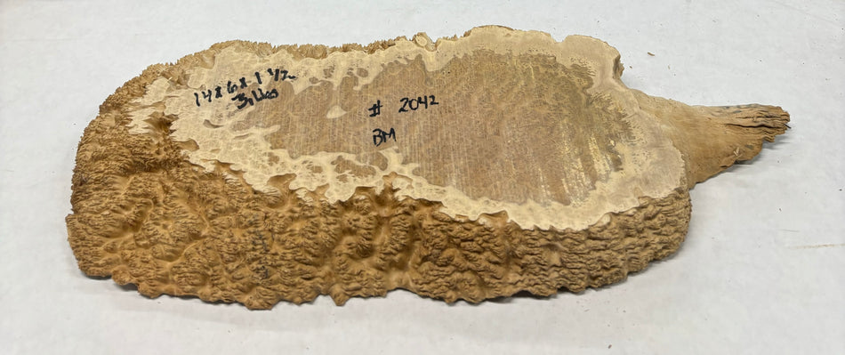 Brown Mallee Burl Cookies 14" x 6" x 1-1/2"  3 Lbs | #2042