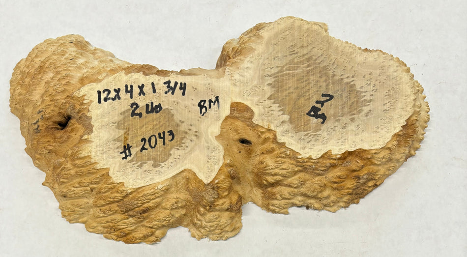 Brown Mallee Burl Cookies 12" x 4" x 1-3/4"  2 Lbs | #2043