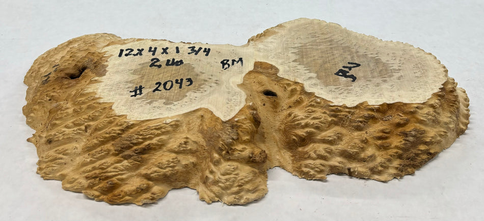 Brown Mallee Burl Cookies 12" x 4" x 1-3/4"  2 Lbs | #2043