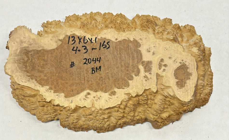 Brown Mallee Burl Cookies 13" x 6" x 1"   4.3 Lbs | #2044