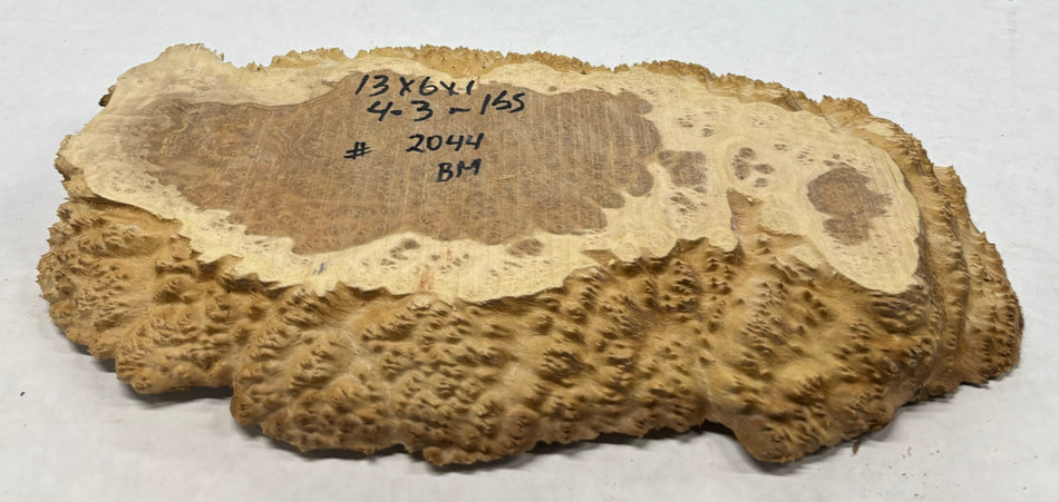 Brown Mallee Burl Cookies 13" x 6" x 1"   4.3 Lbs | #2044