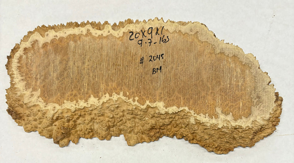 Brown Mallee Burl Cookies 20" x 9" x 1"   1 Lbs | #2045