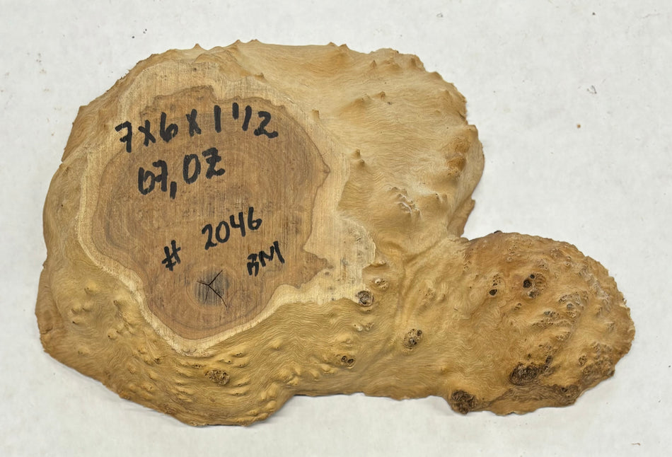 Brown Mallee Burl Cookies 7" x 6" x 1-1/2"   1 Lbs | #2046